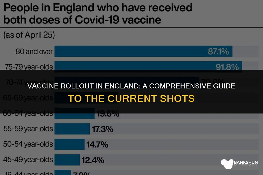 what vaccine are they giving in england