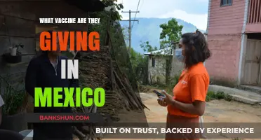 Exploring Mexico's COVID-19 Vaccine Distribution: Types and Rollout