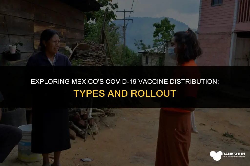 what vaccine are they giving in mexico
