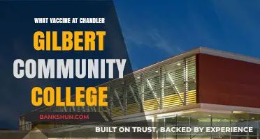 Exploring Vaccine Options at Chandler Gilbert Community College