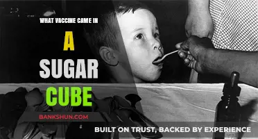 Sweet Shot: The Sugar Cube Vaccine Revolution
