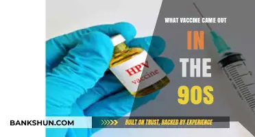 Vaccine Breakthroughs of the 90s: A Decade of Medical Advancements
