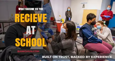 Vaccines at School: Protecting Our Future, One Shot at a Time