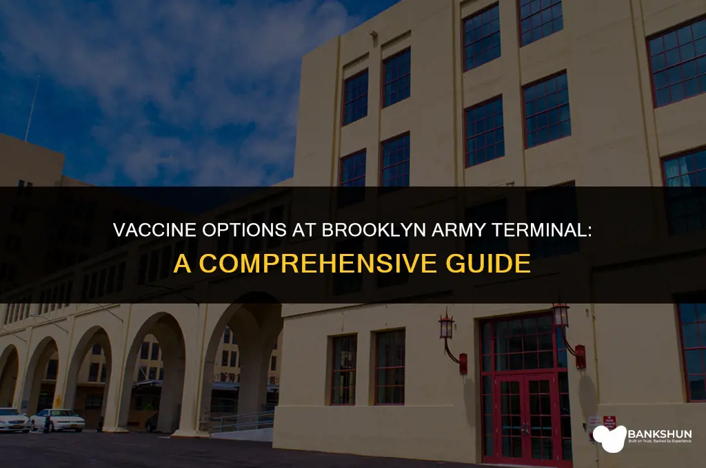 what vaccine does brooklyn army terminal have