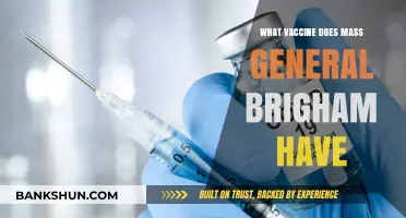 Exploring Vaccine Options at Mass General Brigham: Your Guide
