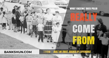 Unraveling the Origins: The Surprising Source of Polio Vaccine