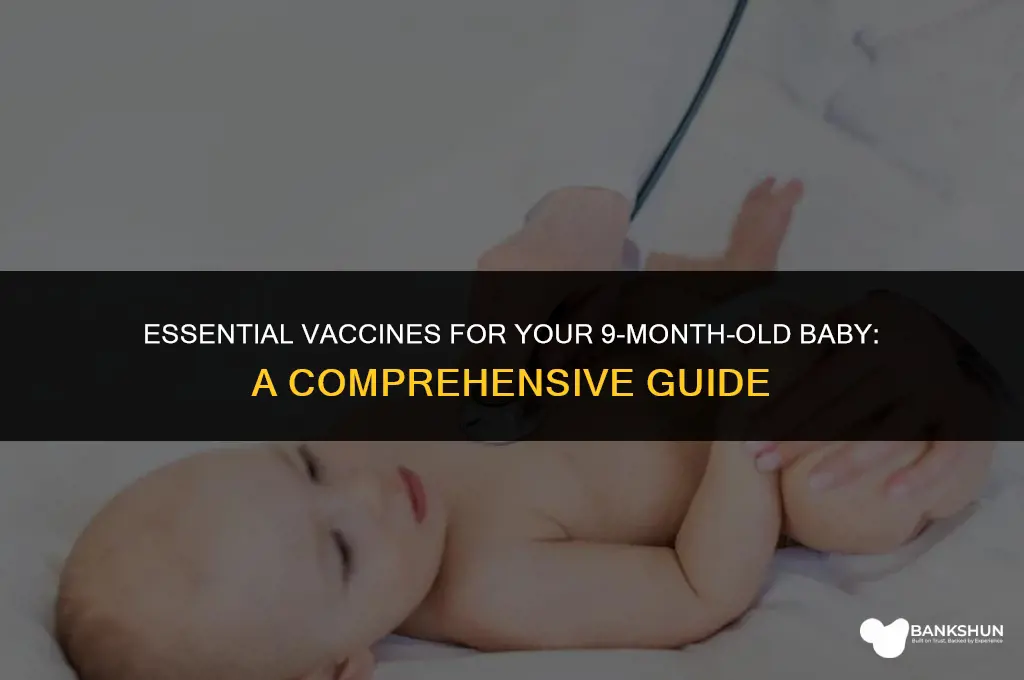 what vaccine for 9 month old baby