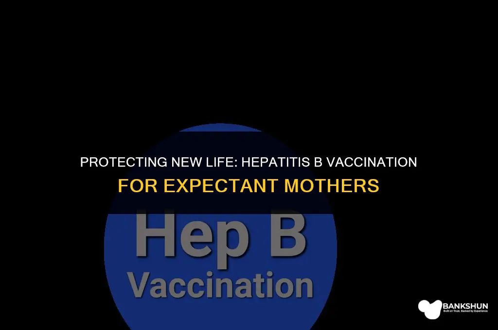 what vaccine for mother with hep b