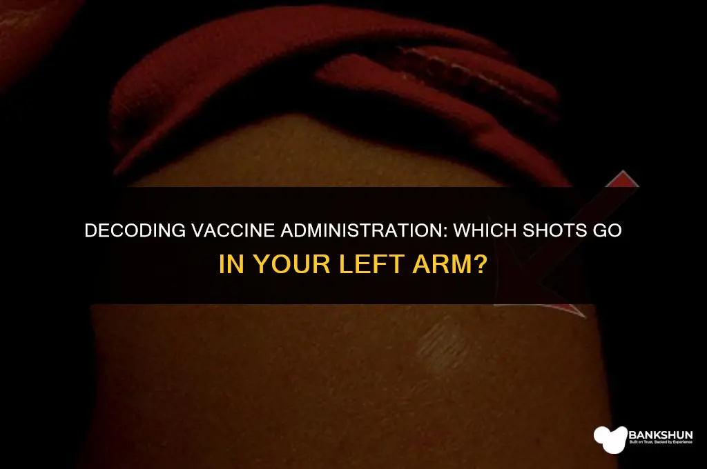what vaccine goes in your left arm