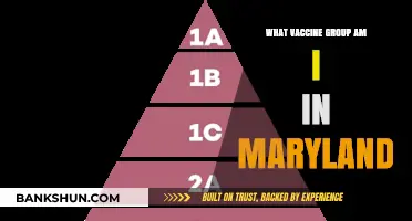 Understanding Maryland's Vaccine Groups: A Comprehensive Guide