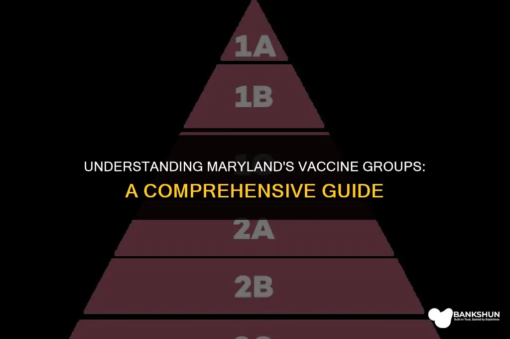 what vaccine group am i in maryland