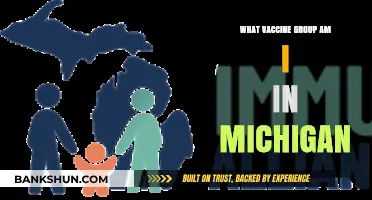 Understanding Michigan's Vaccine Groups: A Comprehensive Guide