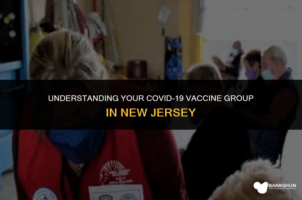 what vaccine group am i in nj