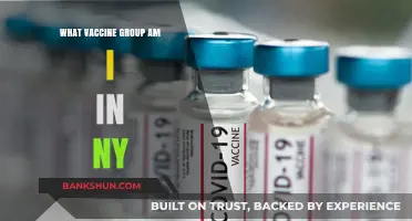 Understanding Your COVID-19 Vaccine Group in New York: A Guide
