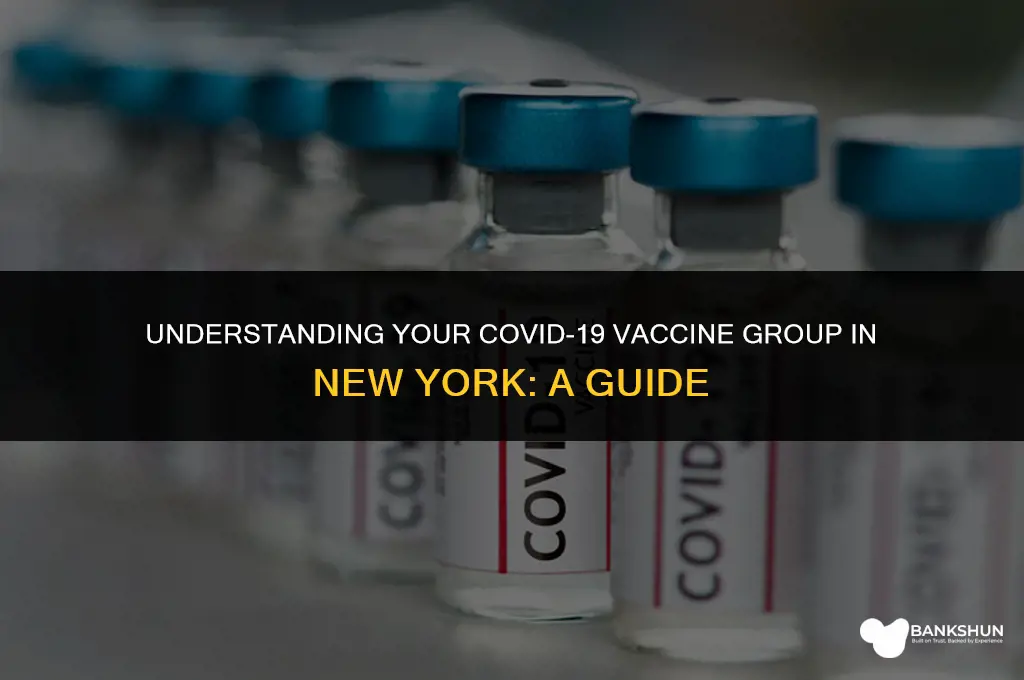 what vaccine group am i in ny