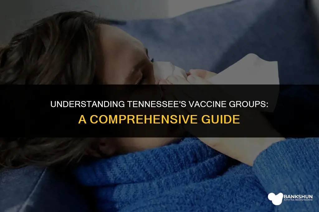 what vaccine group am i in tennessee