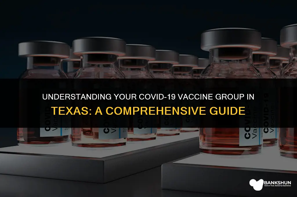 what vaccine group am i in texas