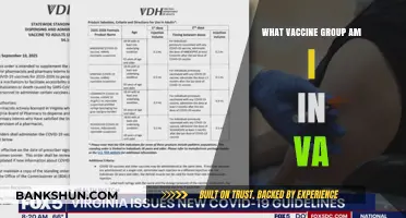 Understanding Your COVID-19 Vaccine Group in Virginia