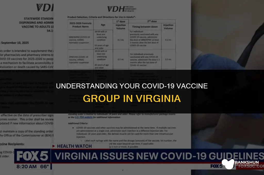 what vaccine group am i in va
