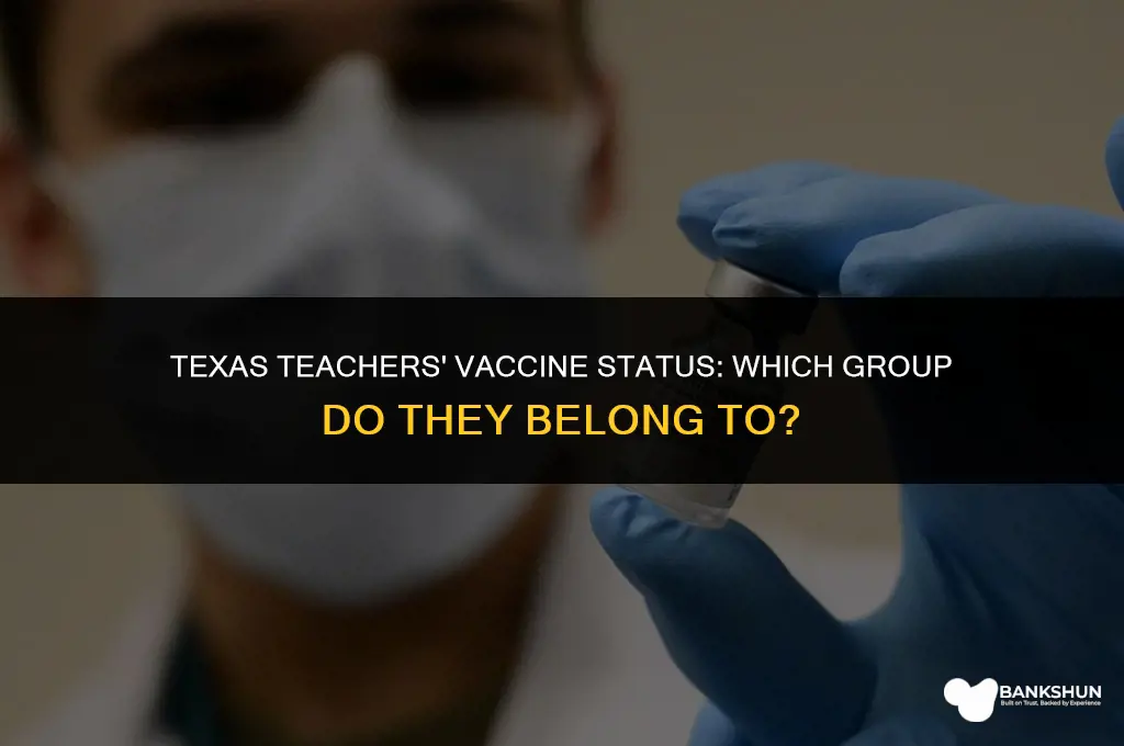 what vaccine group are teachers in texas