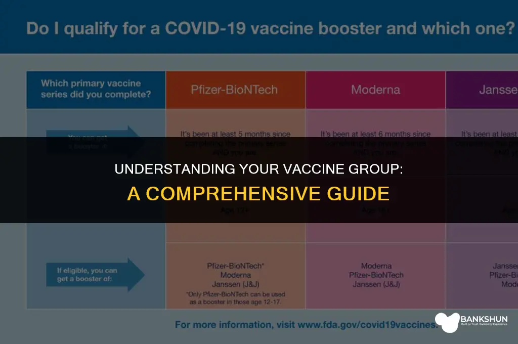 what vaccine group do i fall in