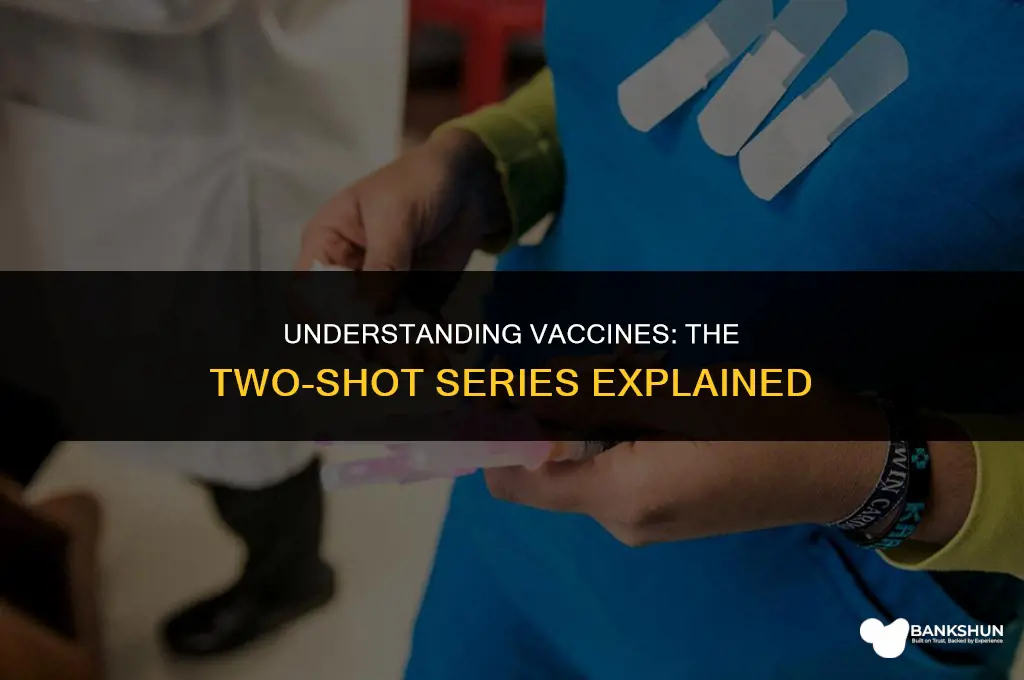 what vaccine has 2 series of shots