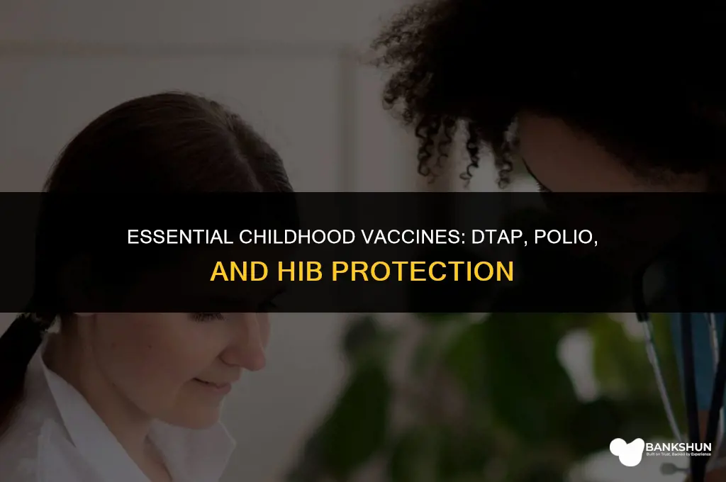what vaccine has dtap polio and hib
