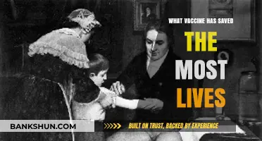 The Lifesaving Impact of the Smallpox Vaccine: A Historical Triumph