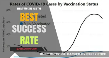 Exploring the Most Effective Vaccines: A Comparative Analysis