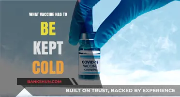 Chilling Facts: Which Vaccines Require Cold Storage?
