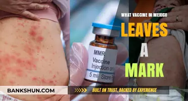 Scars of Immunity: The Mark Left by Mexico's Vaccination Efforts
