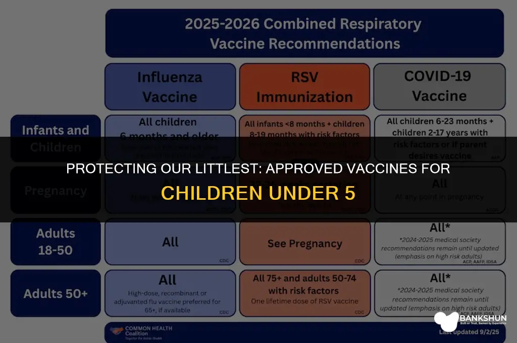 what vaccine is approved for under 5