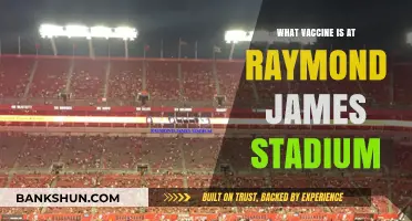 Vaccine Clinic at Raymond James Stadium: Your Guide to Getting Protected