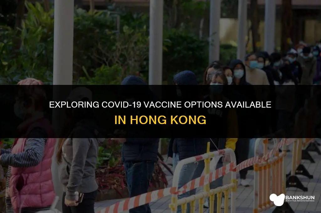what vaccine is available in hong kong