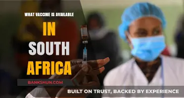 Exploring COVID-19 Vaccine Options Available in South Africa
