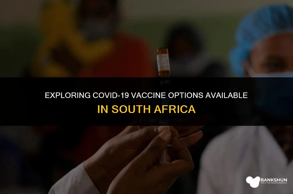 what vaccine is available in south africa