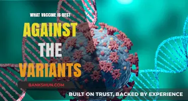 Combatting COVID-19 Variants: Which Vaccine Offers Optimal Protection?