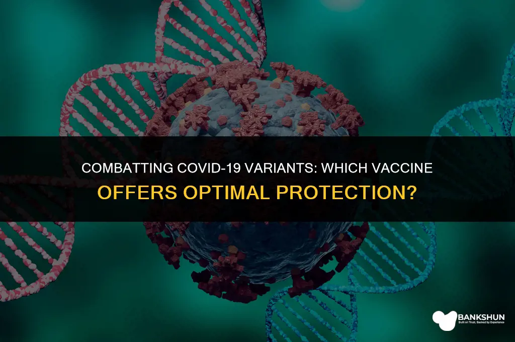 what vaccine is best against the variants