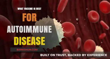 Navigating Vaccine Choices for Autoimmune Diseases: A Comprehensive Guide