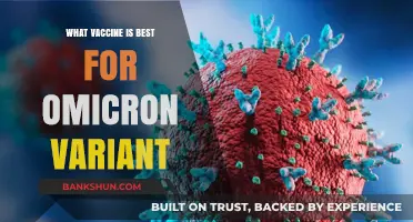 Combatting Omicron: Which Vaccine Offers Optimal Protection?