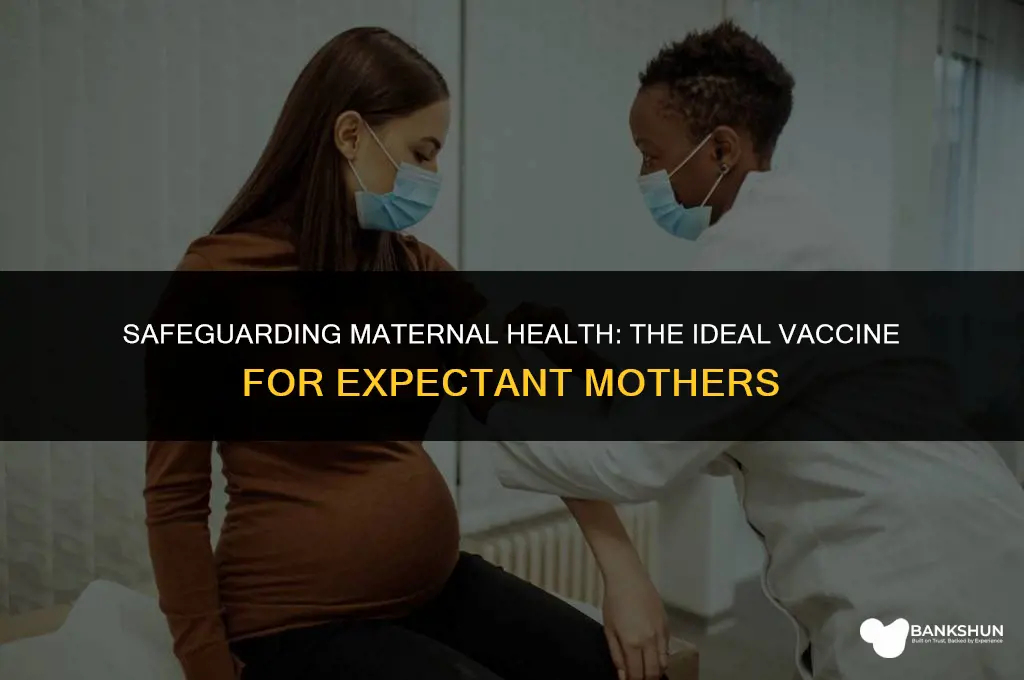 what vaccine is best for pregnant women