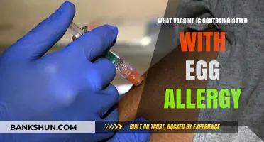 Egg Allergy and Vaccines: What You Need to Know