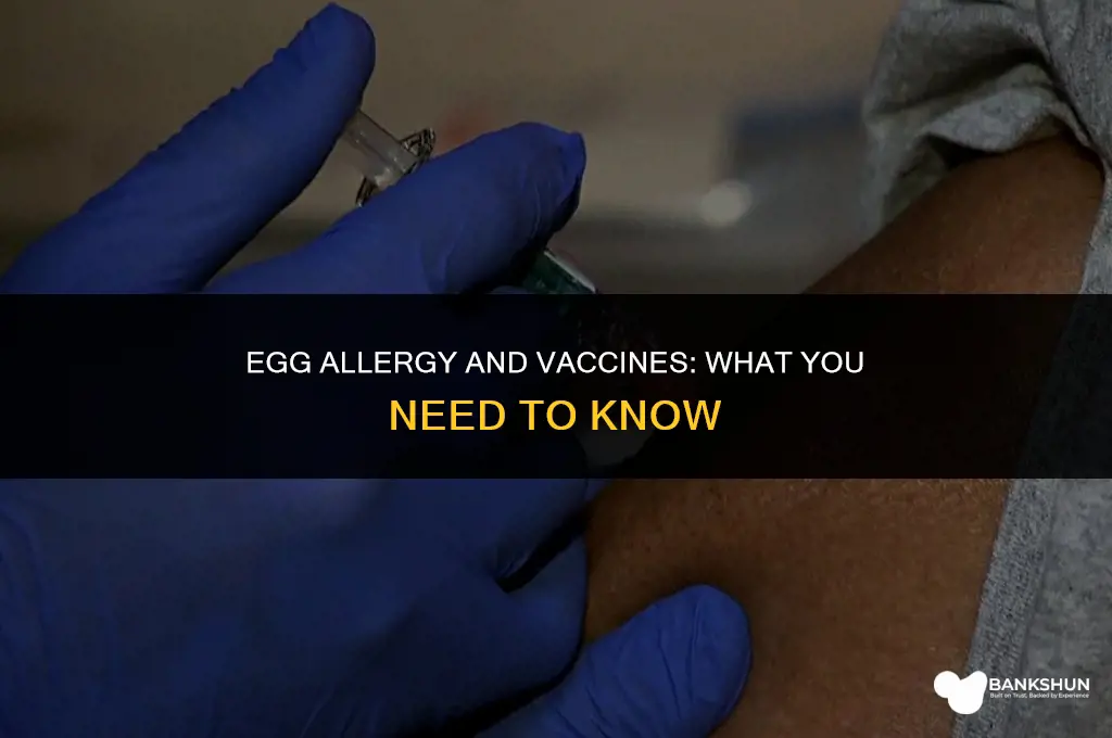what vaccine is contraindicated with egg allergy