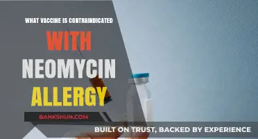 Navigating Vaccine Options with a Neomycin Allergy: What You Need to Know