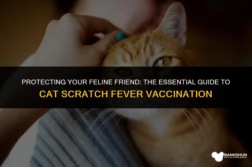 what vaccine is for cat scratch fever