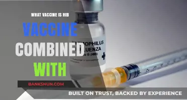 Understanding the Combination: Hib Vaccine and Its Partners in Protection