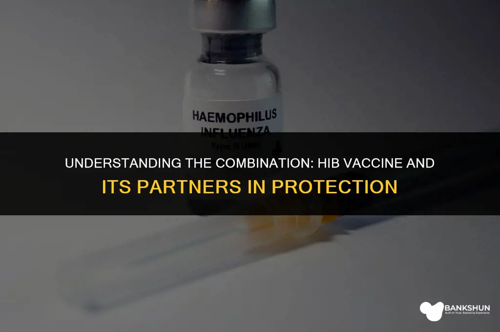 what vaccine is hib vaccine combined with