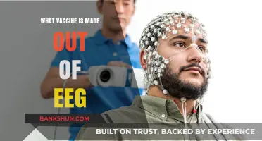 Decoding the Myth: No Vaccine is Made from EEG