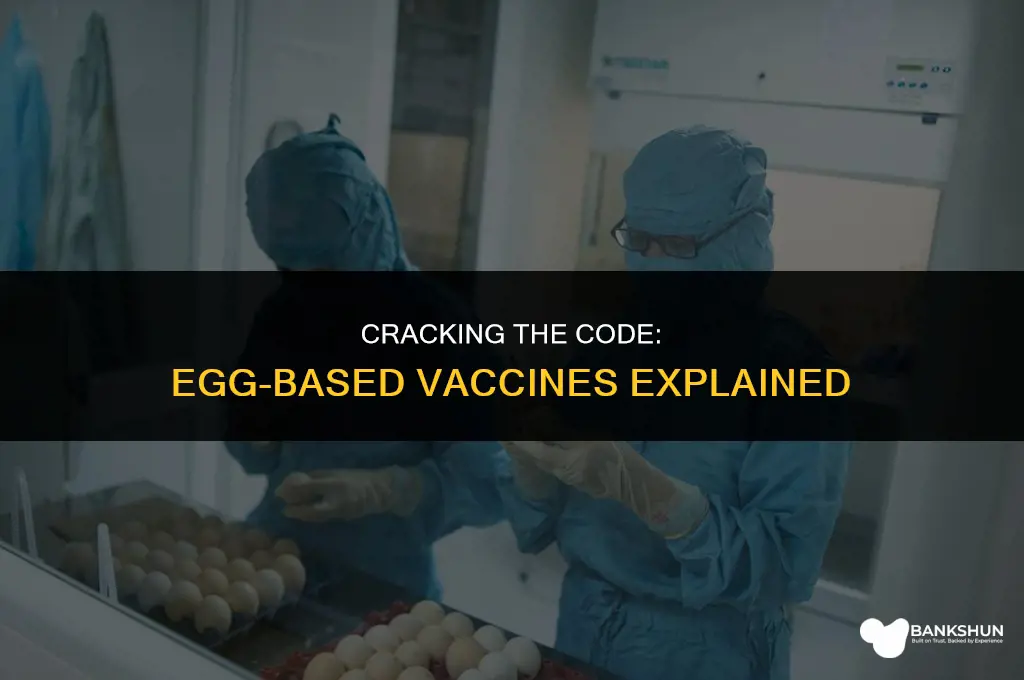what vaccine is made out of egg