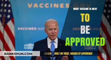 Breakthrough on the Horizon: Which Vaccine Will Earn Approval Next?